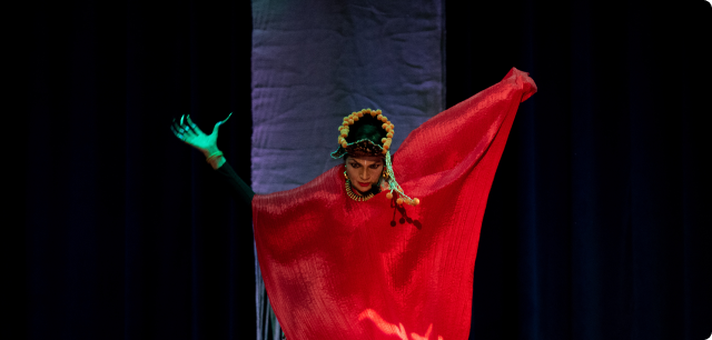 best Contemporary Performer dr anita ratnam