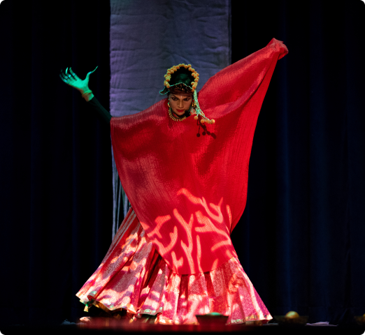 famous contemporary dancer anita ratnam